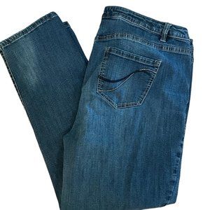 Lane Bryant Jean GF